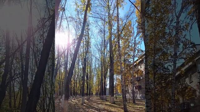 Пашино. Десятка. Гвардейский.
