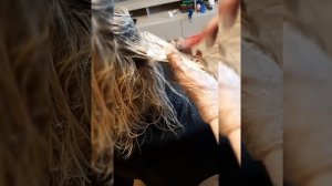 Бежевый блонд рецепт пошагово