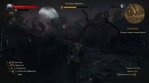 Ведьмак 3 -  Господин Зеркало Гюнтер о'Дим / Ольгерд фон Эверек