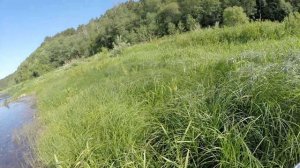 Окуневое Место. Ловля на Спиннинг в Тверской Области. Na kruchke fishing