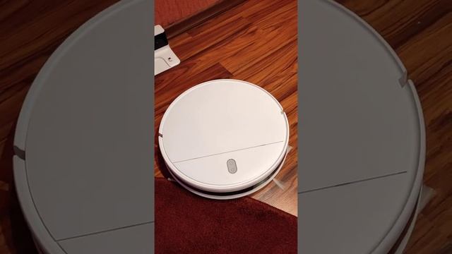 Робот пылесос Mi robot vacuum mop essential