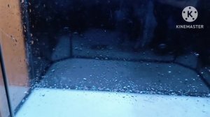 Акваскейп или Полюдариум?