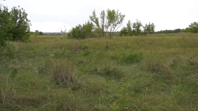 Село Орлово Новоусманского района смотреть онлайн