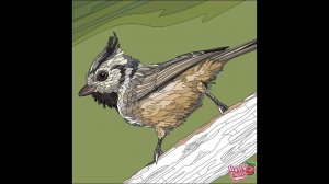 30 Декабря 2019