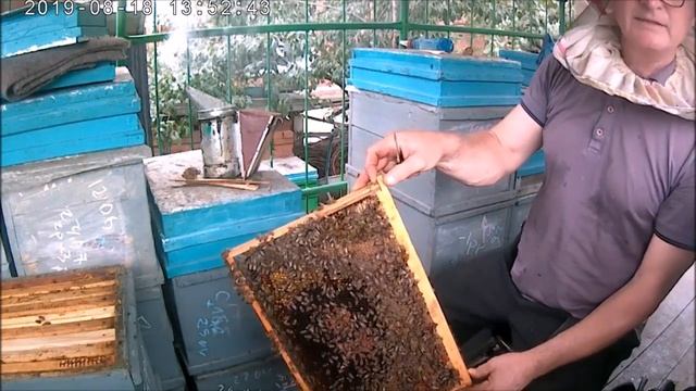 Как и когда сокращать пчел.Когда снимать разделительные решётки.
