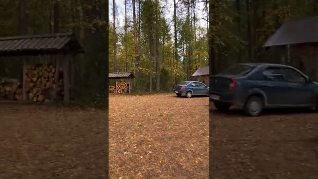 Турбаза Кордон лесника. Домик 4. Кенозерский национальный парк. смотреть онлайн