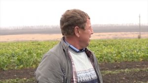 Сергачский сахарный завод