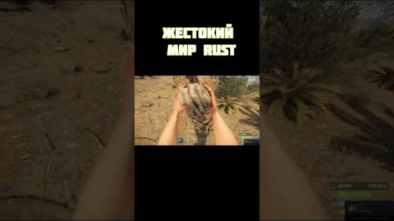 выживание в Rust (жестокий мир) #shorts