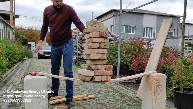 Очень важный эксперимент по Прочности Павловнии. Древесина Павловнии как строительный материал.