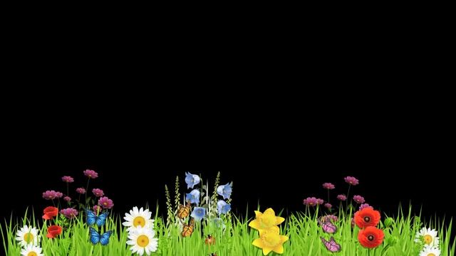 Футаж на прозрачном фоне травка и цветы. смотреть онлайн