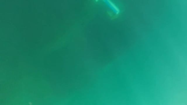 Le Celacante a coulé смотреть онлайн