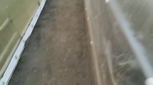 Укрытие теплицы поликарбонатом