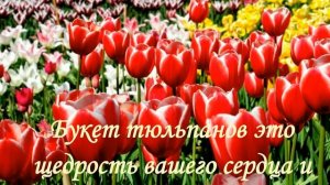 Удивительный мир цветов ч1