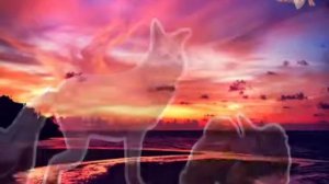 Вилд крафт клип ( ромашки веснушки мы лучшие подружки) не судите строго это мой второй клип (. ❛ ᴗ