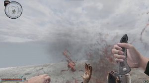 Stalker Anomaly, Food, drug and drinks animations, skinning effects test.