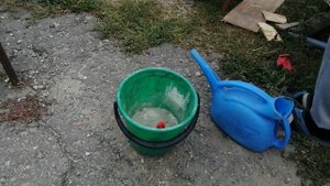 Побелка погреба