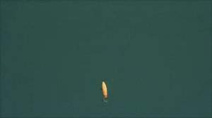 Fishycat Libyca 75SP - Техника и способы проводки.