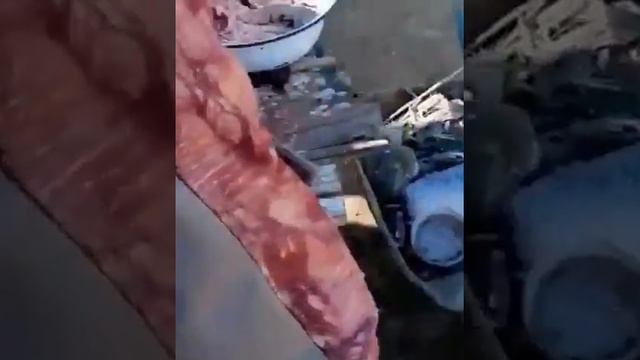 #сазан #карп #беламур #рыбалка ЛАЙФХАК КАК ПОЧИСТИТЬ САЗАНА КРУТО ??