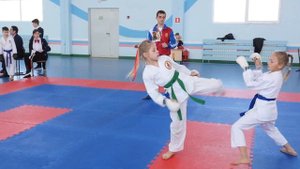 Турнир по каратэ шотокан. Сёбу-иппон кумитэ.Девочки 8-9лет.