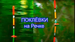 Рыбалка на речке Рожайке, Поклёвки на поплавок с разных мест ловли, обзор, Рыбалка- как вижу её Я