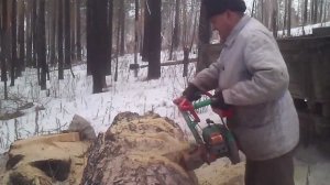 В лес по дрова ч.2 Бензопила УРАЛ в работе