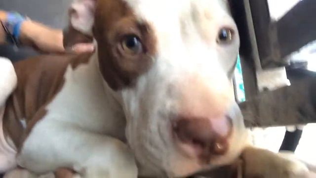 Jacob #A475597/Due out 12/23 смотреть онлайн