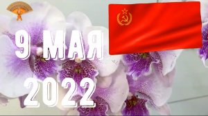 Грабли веерные Для любителей канала Грабли Лайф 09.05.2022.mp4