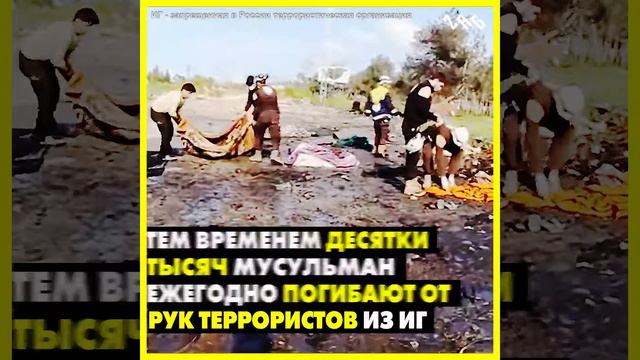 «Я в кино такие бои видел, а в жизни таких боев не видел» смотреть онлайн