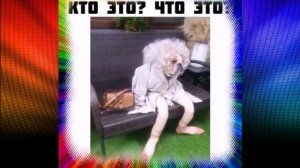 Кто это...что это...