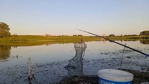 Рыбалка в Тюменской области Заводоуковский район 1 часть