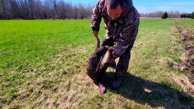 Wild Turkey Hunt 2023: Turkeys Down!!