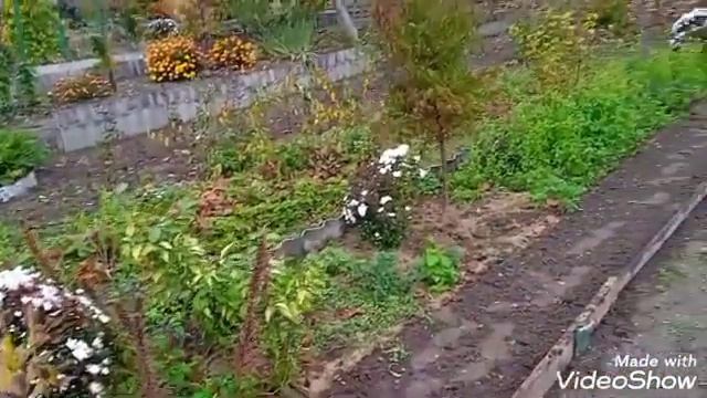 Смена культур и пространства облегчает уход