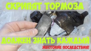 Скрипят тормоза. Последствия дрифта. Пищат колодки. Решено.