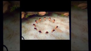 Madagascar Escape 2 Africa - All Fails and Game Overs