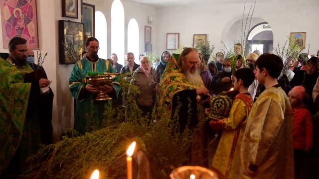 Чин освящения вербы в канун Вербного воскресенья. смотреть онлайн