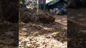 Обзор отеля Villa Agusta и дорога до пляжа. Кандолим Индия Северный Гоа