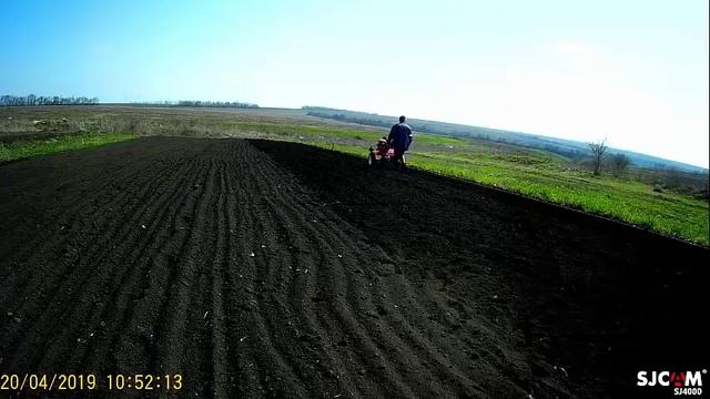 ✔️фрезерование / посадка ранней картошки мотоблоком/Planting early potatoes with a tillerblock