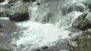 АЛЕКСАНДР ПУШКИН. “Станционный смотритель“. Библейский сюжет