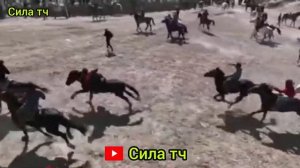 Баромади Додохон човандози Вилояти Сугд дар бузкаши Шахри Хисор.Асп бо номи Ферари.