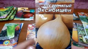 Обзор сортов лука. Рассада чернушки