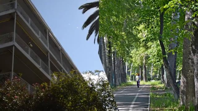 Летняя песня.mp4