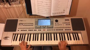 Korg pa 50 Czerwona jarzębina