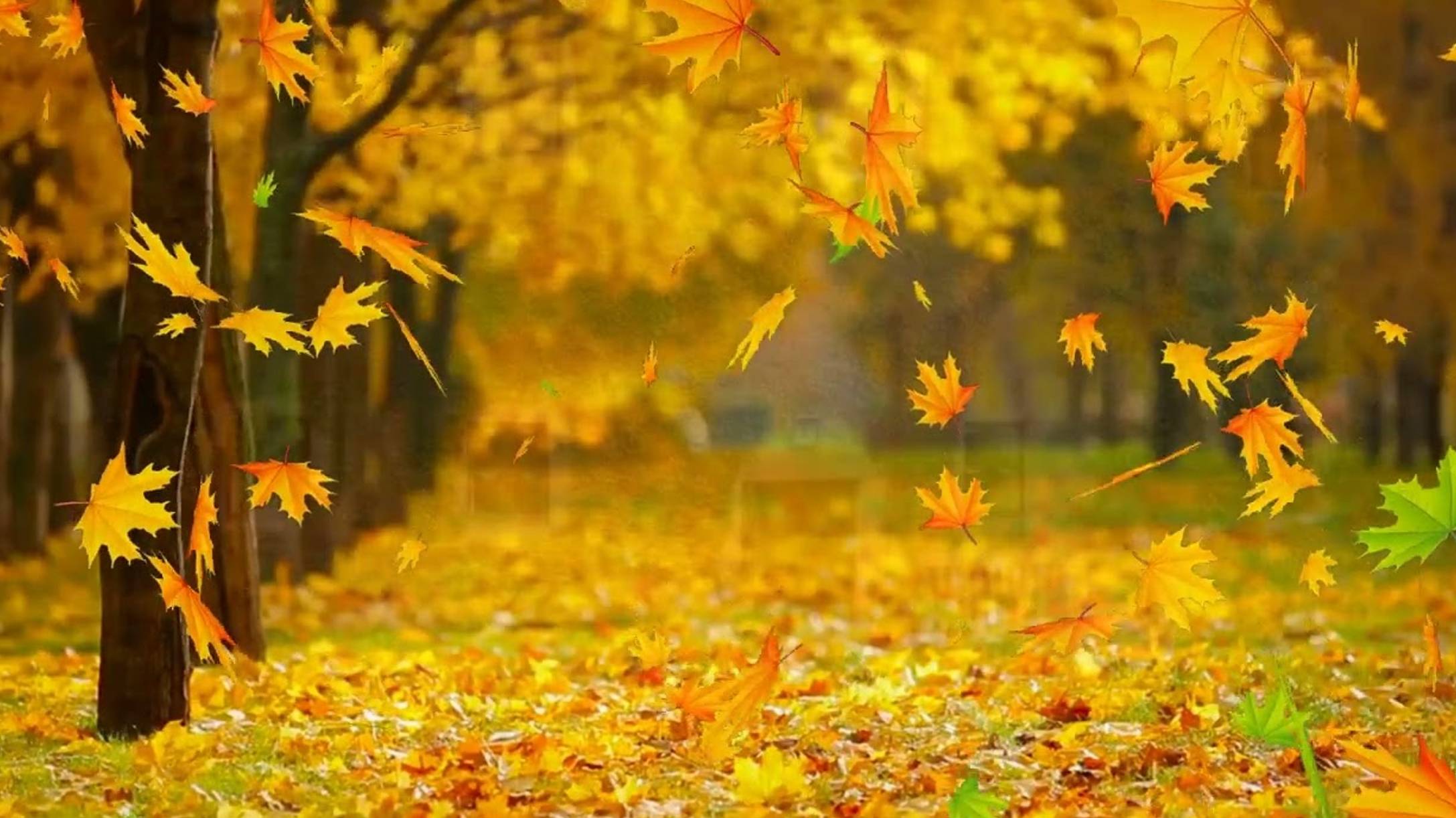 Закружила осень смотреть онлайн