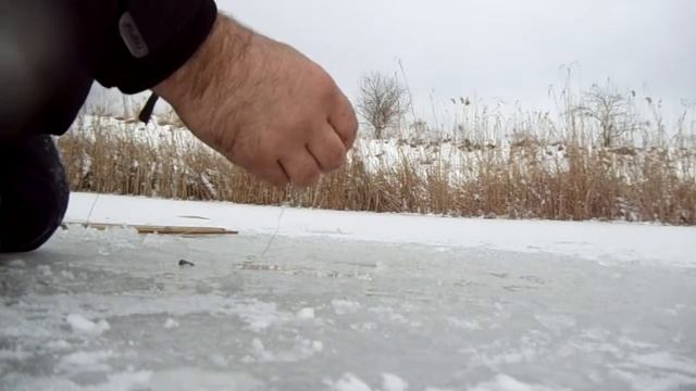 Рыбалка зимой. Щука на флажок . смотреть онлайн