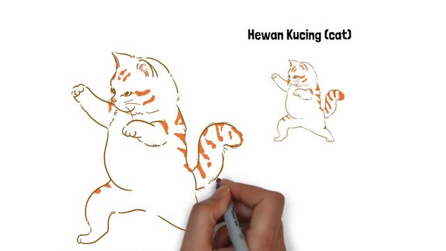cara menggambar kucing / how to draw a cat смотреть онлайн