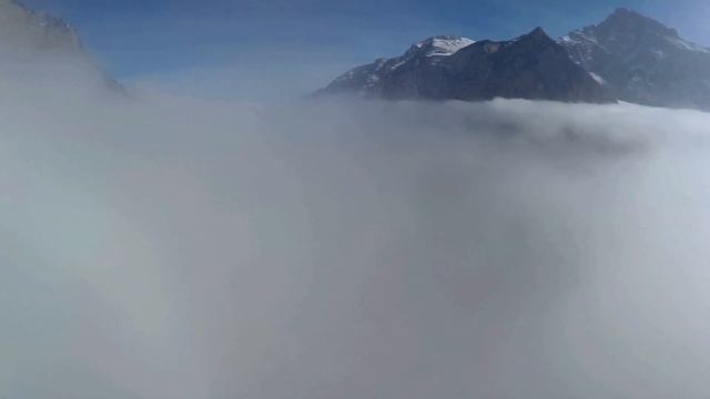 Лагерь_Я в моменте_Алхимия дыхания.Древо жизни смотреть онлайн