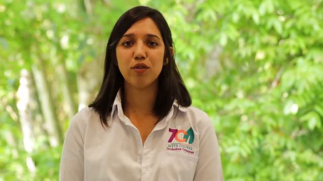 7 COLINAS: EXPERTOS EN ANTURIOS Y ORQUÍDEAS. смотреть онлайн