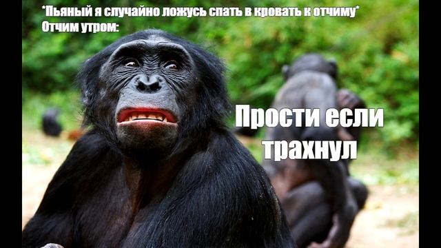 15 лучших мемов дня, подборка черного юмора #1 (новое)