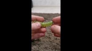 как насадить резину на профильный крючок