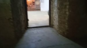 VID_20230217_132821.mp4